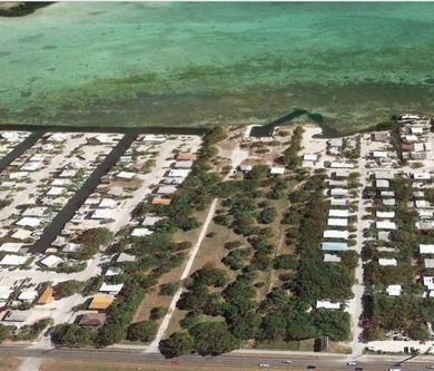 Beautiful adjoining oceanfront gated estates available - photo 4