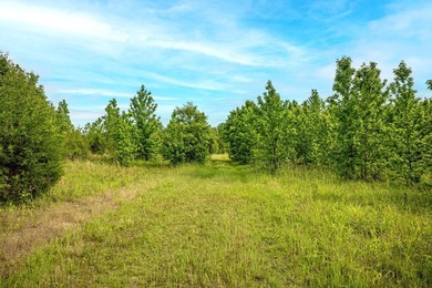 Private Hunting Retreat with Pond, Hardwood Timber & Homesite - photo 4