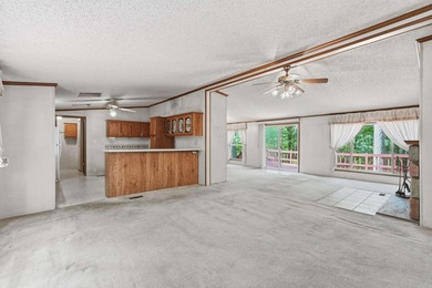 Bring your vision to this Greers Ferry Lake home on the - photo 26