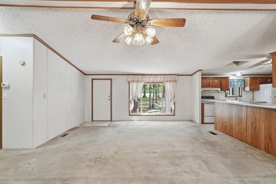 Bring your vision to this Greers Ferry Lake home on the - photo 27