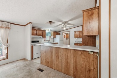 Bring your vision to this Greers Ferry Lake home on the - photo 28