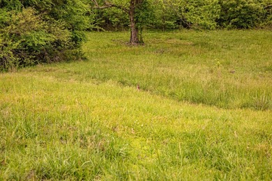 Private Hunting Retreat with Pond, Hardwood Timber & Homesite - photo 10