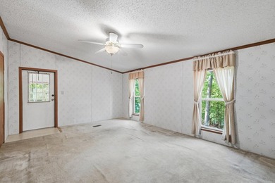 Bring your vision to this Greers Ferry Lake home on the - photo 34