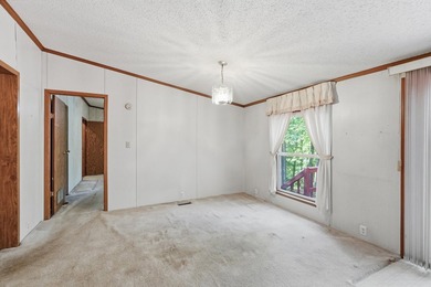 Bring your vision to this Greers Ferry Lake home on the - photo 39