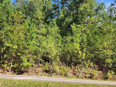 Lake Lot For Sale in Fair Play, South Carolina