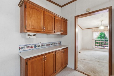 Bring your vision to this Greers Ferry Lake home on the - photo 42
