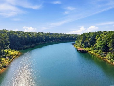 Bring your vision to this Greers Ferry Lake home on the - photo 46