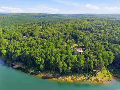 Bring your vision to this Greers Ferry Lake home on the - photo 47