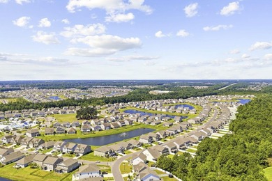 Move-In Ready in The Parks of Carolina Forest - Plus an - photo 47