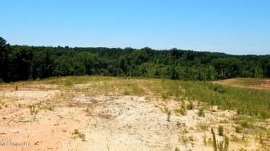 Grenada Reservoir Acreage For Sale in Grenada Mississippi