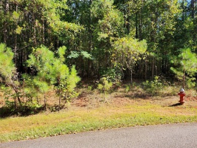 (private lake, pond, creek) Lot For Sale in Fair Play South Carolina