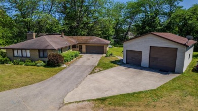 Lake Home For Sale in Beaverton, Michigan