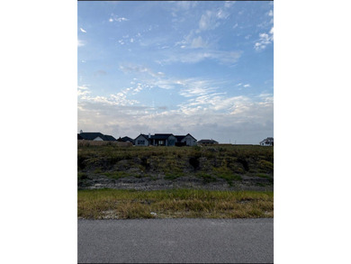 Build your dream home on this exceptional lot in London Ranch - photo 2