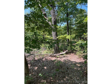 Lake Acreage Sale Pending in Roach, Missouri