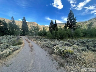 Lake Lot For Sale in Challis, Idaho
