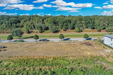 Introducing 16626 Bolsena Drive, an extraordinary opportunity to - photo 7
