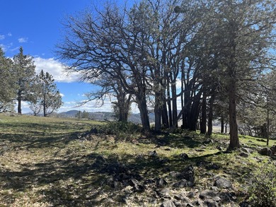 Upper Klamath Lake Lot For Sale in Klamath Falls Oregon