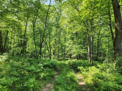 Lake Acreage For Sale in Harrison, Michigan