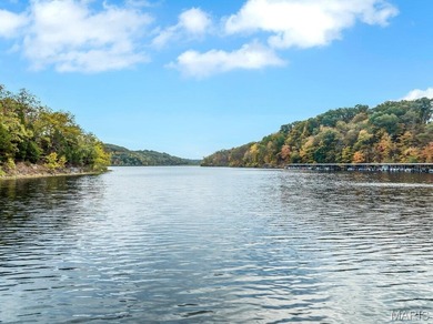 (private lake, pond, creek) Acreage For Sale in Defiance Missouri