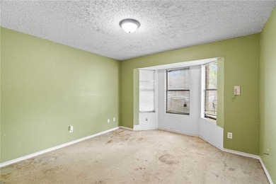 Seller offering $10,000 with accepted offer to use toward - photo 9