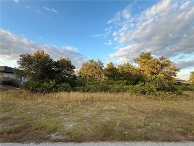 Lehigh Acres Area Lot For Sale in Lehigh Acres Florida
