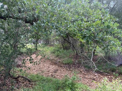 Beautiful fairly level lot with mature trees located at the end - photo 12