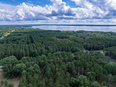 Build your Castle Rock Lake getaway on this 1.5-acre wooded lot - photo 13
