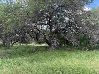 Beautiful fairly level lot with mature trees located at the end - photo 14