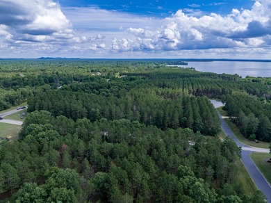 Build your Castle Rock Lake getaway on this 1.5-acre wooded lot - photo 14