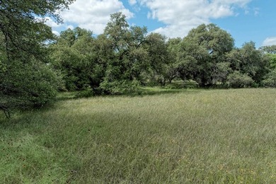 Beautiful fairly level lot with mature trees located at the end - photo 17