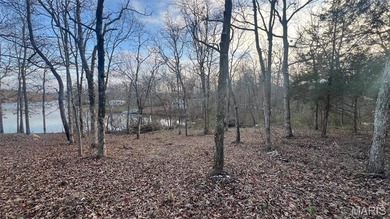 (private lake, pond, creek) Lot For Sale in Fredericktown Missouri