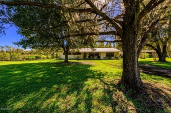 Lake Acreage Off Market in Pierson, Florida