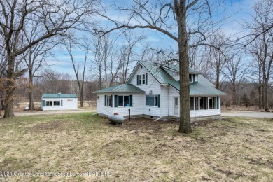 Lake Home For Sale in Carson City, Michigan