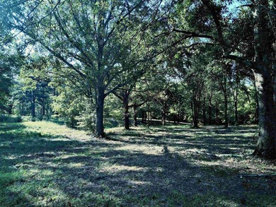 CLOSE TO LAKE DEGRAY! Nice wooded acreage off Hwy 7. Just a hop - photo 11