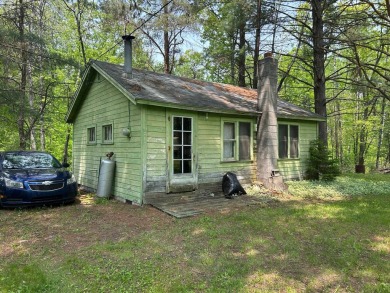 (private lake, pond, creek) Lot For Sale in Alger Michigan