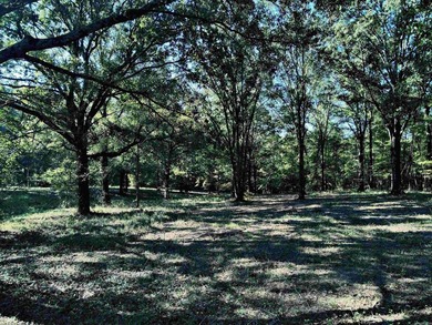 CLOSE TO LAKE DEGRAY! Nice wooded acreage off Hwy 7. Just a hop - photo 12