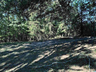 CLOSE TO LAKE DEGRAY! Nice wooded acreage off Hwy 7. Just a hop - photo 13
