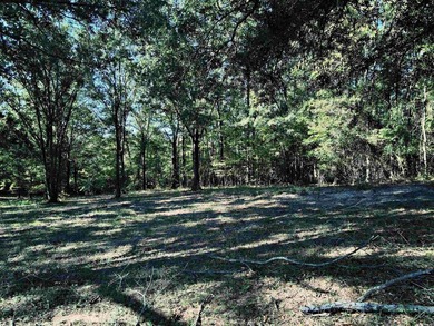 CLOSE TO LAKE DEGRAY! Nice wooded acreage off Hwy 7. Just a hop - photo 15