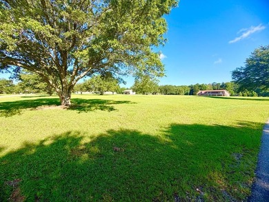 Beautiful 3.10-acre corner lot located at the corner of Shavon - photo 15