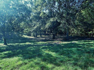 CLOSE TO LAKE DEGRAY! Nice wooded acreage off Hwy 7. Just a hop - photo 16