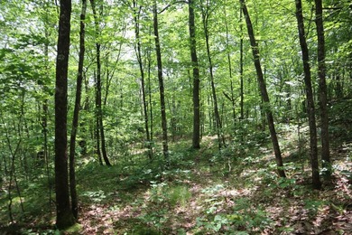 Just north of the farming town of Salem NY, just 500' from the - photo 25