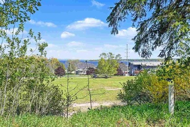 VIEWS! Stunning Lake Charlevoix views on a 1+ acre property - photo 8