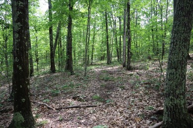 Just north of the farming town of Salem NY, just 500' from the - photo 28