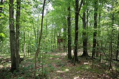 Just north of the farming town of Salem NY, just 500' from the - photo 30