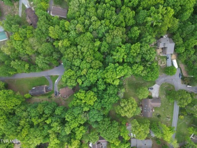 Lake Lot For Sale in Johnson City, Tennessee