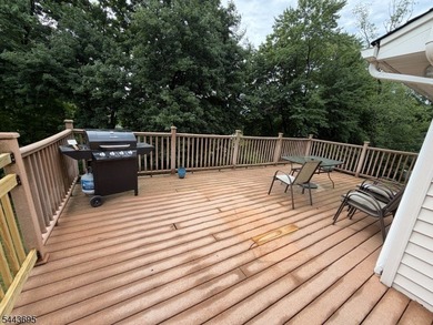Welcome Home to this updated ranch style house with seasonal - photo 32