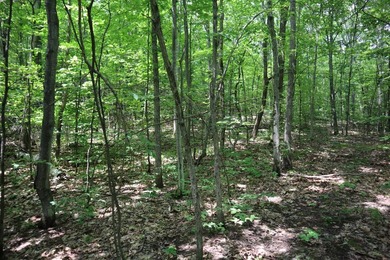 Just north of the farming town of Salem NY, just 500' from the - photo 36