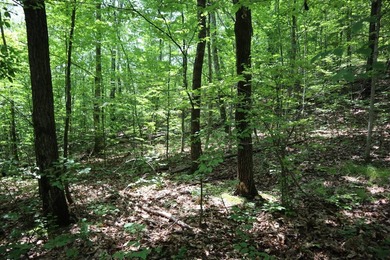 Just north of the farming town of Salem NY, just 500' from the - photo 37