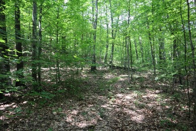 Just north of the farming town of Salem NY, just 500' from the - photo 38