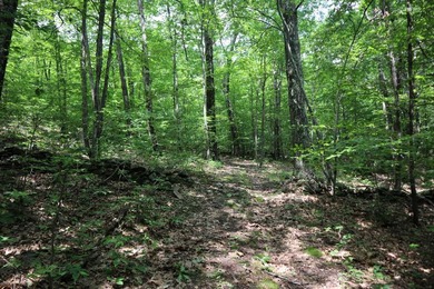 Just north of the farming town of Salem NY, just 500' from the - photo 39